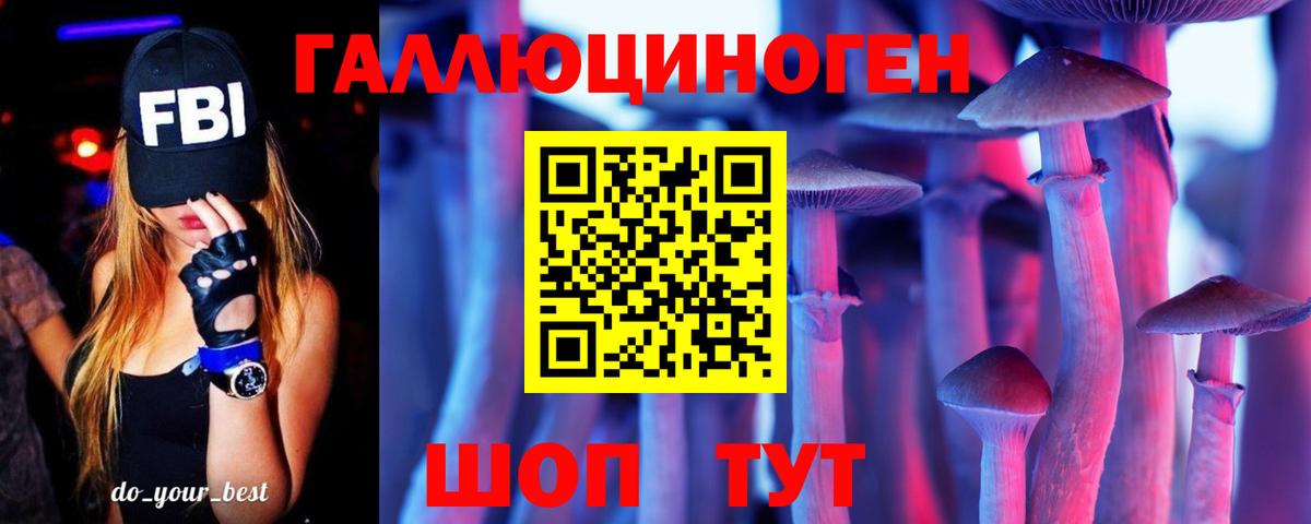 Галлюциногенные грибы Psilocybe Волгоград